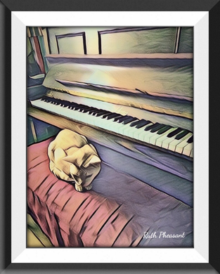 Picture of Cat Sitting at Piano